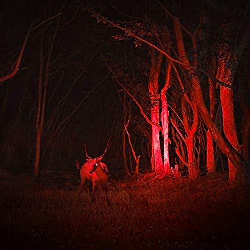 3-Piece Set Red Light Flashlight