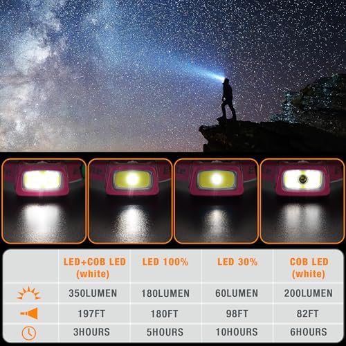 EverBrite 9-LED Flashlight and Rechargeable Headlamp